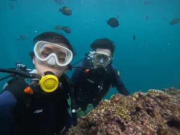 武藤潜水に投稿された画像（2023/6/15）