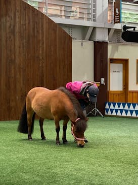 ノーザンホースパークに投稿された画像（2023/6/15）