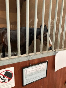 ノーザンホースパークに投稿された画像（2023/6/15）