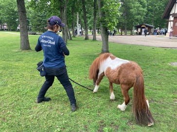 ノーザンホースパークに投稿された画像（2023/6/15）