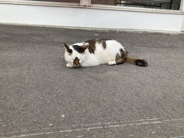 ノーザンホースパークに投稿された画像（2023/6/15）