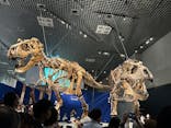 特別展「恐竜博2023」に投稿された画像（2023/6/15）