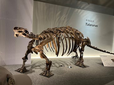 特別展「恐竜博2023」に投稿された画像（2023/6/15）