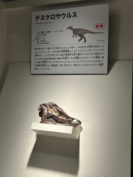 特別展「恐竜博2023」に投稿された画像（2023/6/15）