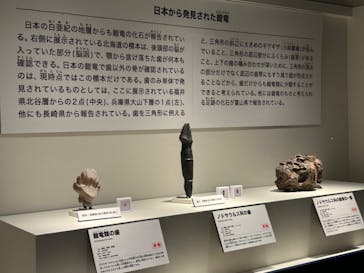 特別展「恐竜博2023」に投稿された画像（2023/6/15）