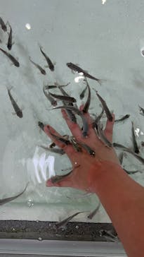 アクアワールド茨城県大洗水族館に投稿された画像（2023/6/15）