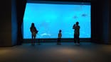 沖縄美ら海水族館に投稿された画像（2023/6/15）