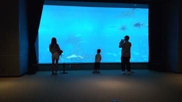 沖縄美ら海水族館に投稿された画像（2023/6/15）