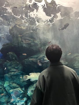 マリンワールド海の中道に投稿された画像（2023/6/15）