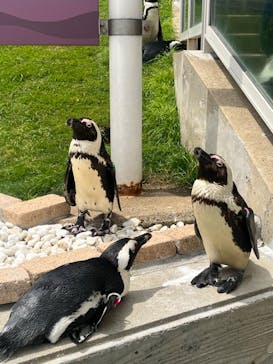 マリンワールド海の中道に投稿された画像（2023/6/15）