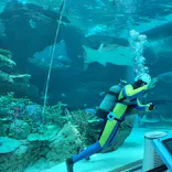 名古屋港水族館に投稿された画像（2023/6/15）
