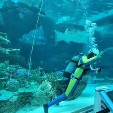 名古屋港水族館に投稿された画像（2023/6/15）