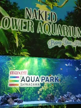 マクセル アクアパーク品川に投稿された画像（2023/6/15）