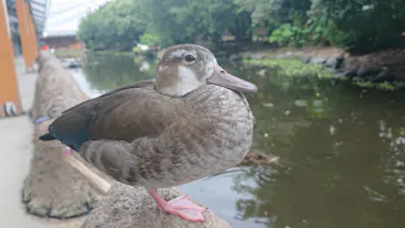 神戸どうぶつ王国に投稿された画像（2023/6/15）