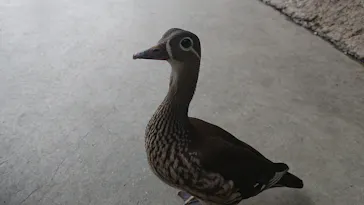 神戸どうぶつ王国に投稿された画像（2023/6/15）