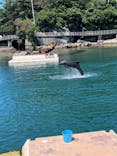 下田海中水族館に投稿された画像（2023/6/16）