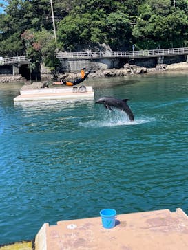 下田海中水族館に投稿された画像（2023/6/16）