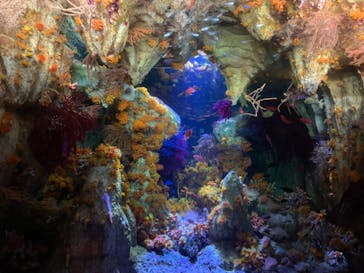 サンシャイン水族館に投稿された画像（2023/6/16）