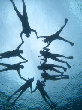 Sea World（シーワールド）に投稿された画像（2023/6/16）