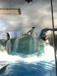 名古屋港水族館に投稿された画像（2023/6/16）