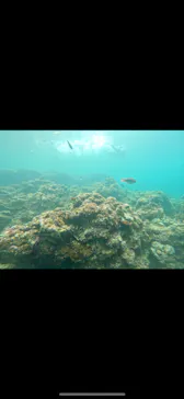 武藤潜水に投稿された画像（2023/6/16）