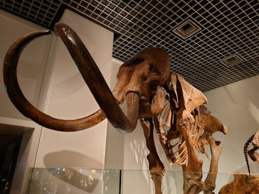 国立科学博物館に投稿された画像（2023/6/16）