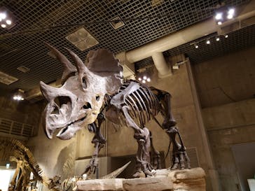 国立科学博物館に投稿された画像（2023/6/16）