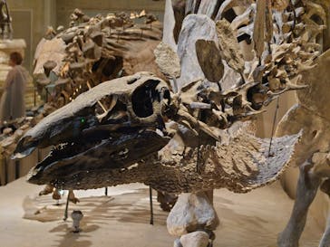 国立科学博物館に投稿された画像（2023/6/16）