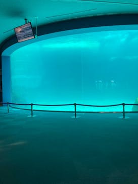 名古屋港水族館に投稿された画像（2023/6/16）