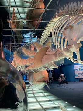 名古屋港水族館に投稿された画像（2023/6/16）