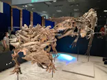 特別展「恐竜博2023」に投稿された画像（2023/6/16）