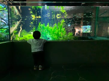 カワスイ 川崎⽔族館に投稿された画像（2023/6/16）