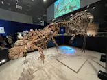 特別展「恐竜博2023」に投稿された画像（2023/6/16）