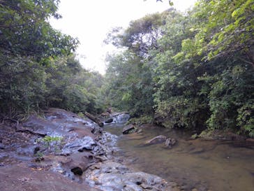 西表島 ADVENTURE PiPi（アドベンチャーピピ）に投稿された画像（2023/6/16）