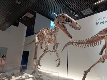 特別展「恐竜博2023」に投稿された画像（2023/6/16）