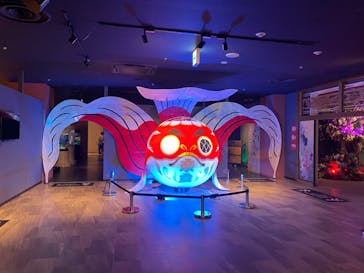 NARA KINGYO MUSEUMに投稿された画像（2023/6/16）