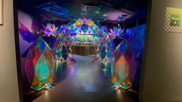 NARA KINGYO MUSEUMに投稿された画像（2023/6/16）