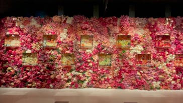 NARA KINGYO MUSEUMに投稿された画像（2023/6/16）