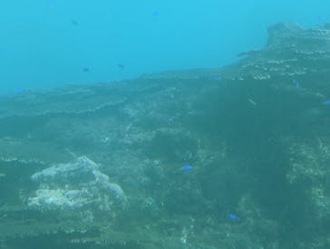 串本海中公園水族館に投稿された画像（2023/6/16）