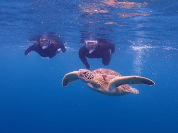 calm石垣島に投稿された画像（2023/6/16）