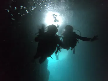 武藤潜水に投稿された画像（2023/6/17）