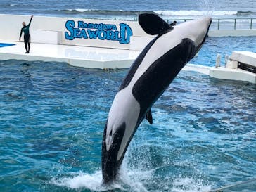 鴨川シーワールドに投稿された画像（2023/6/17）