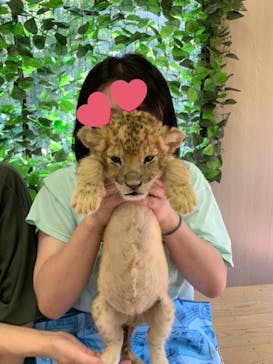 しろとり動物園に投稿された画像（2023/6/17）