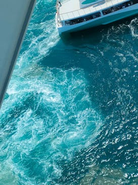 徳島県立 渦の道に投稿された画像（2023/6/17）