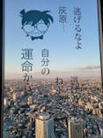 サンシャイン60展望台に投稿された画像（2023/6/17）