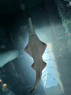 マクセル アクアパーク品川に投稿された画像（2023/6/17）