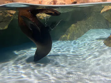 マクセル アクアパーク品川に投稿された画像（2023/6/17）