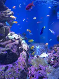 仙台うみの杜水族館に投稿された画像（2023/6/17）