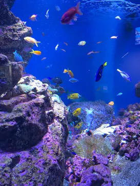 仙台うみの杜水族館に投稿された画像（2023/6/17）
