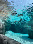 天王寺動物園に投稿された画像（2023/6/17）